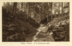 12142 Gezicht in het bos van de Zwitserse Vallei op de Grebbeberg te Grebbe bij Rhenen.
